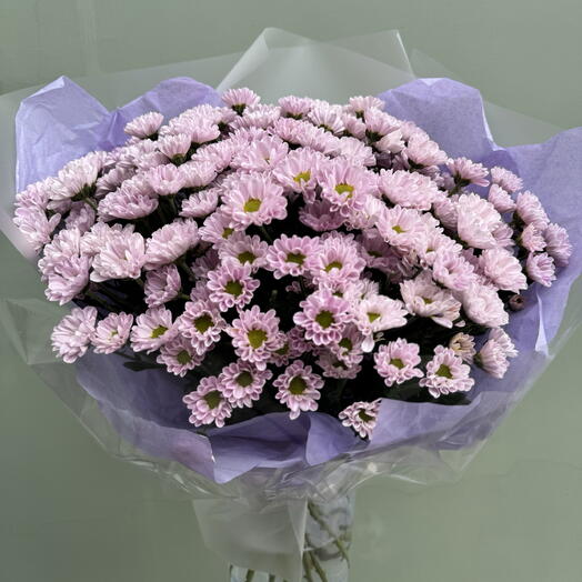 15 розовых сантини