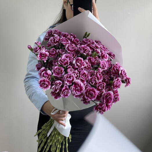 39 кустовых диантусов