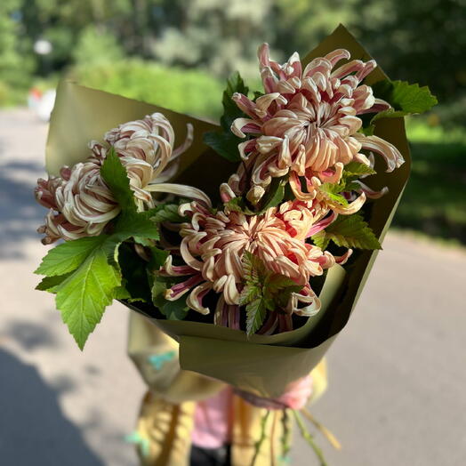 Букет из 3 хризантем с зеленью