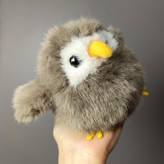 Совёнок 🦉
