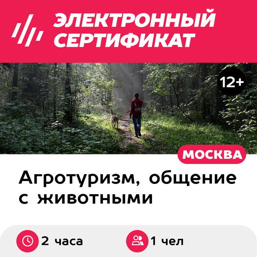Подарочный сертификат Прогулка с волком по лесу для 1 чел. в составе группы (2 часа)