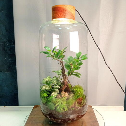 Flora-Glass