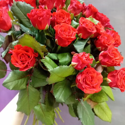 Моно из Красной розы под ленту 💕