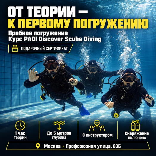 Подарочный сертификат «Пробное погружение Курс PADI Discover Scuba Diving» (1 курс, 1 человек)
