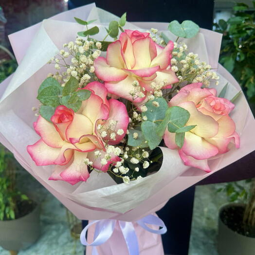 French roses