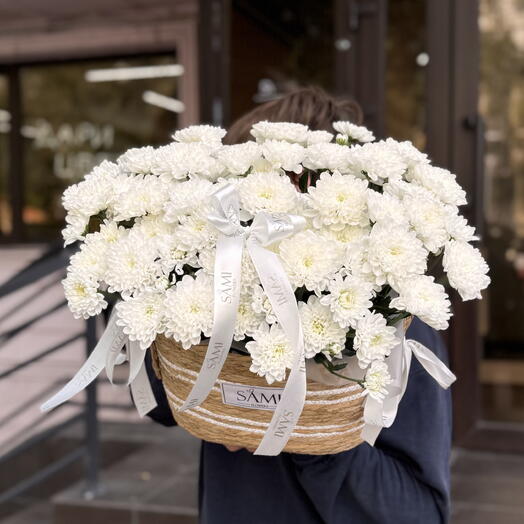 Chrysanthemum planter