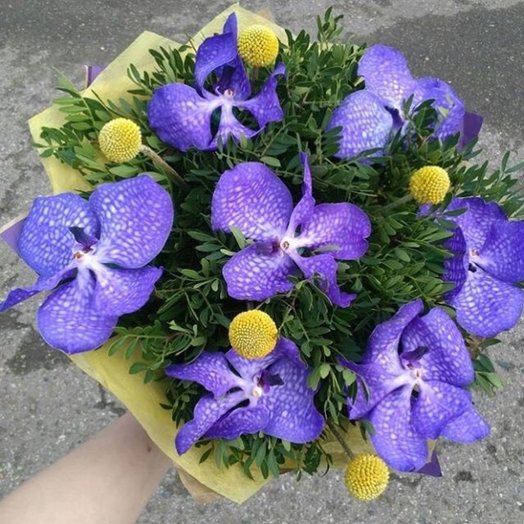 Бабочки