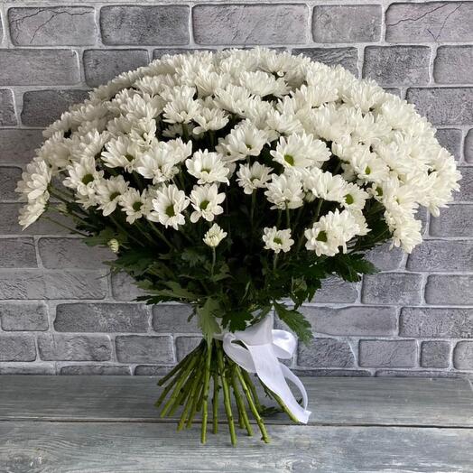 Bouquet of 25 chrysanthemums