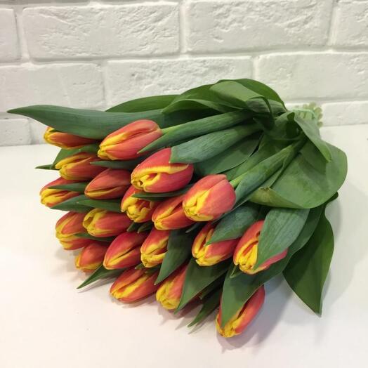 Bouquet of tulips
