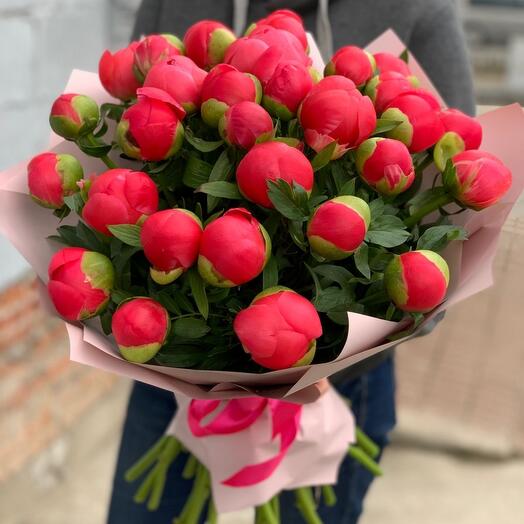 25 пионов Корал Шарм в дизайнерской упаковке (E416)