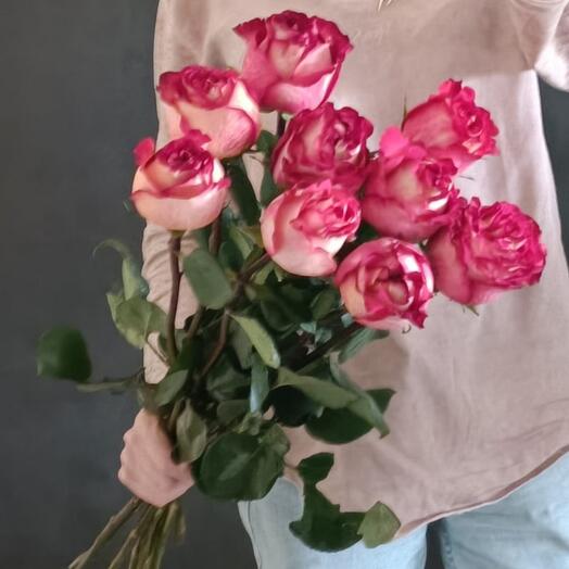 9 rosas Premium "Iguaza"