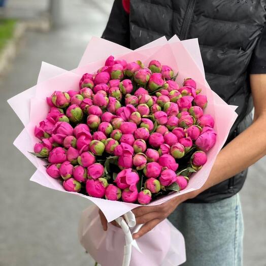 Monobucket of 101 peonies