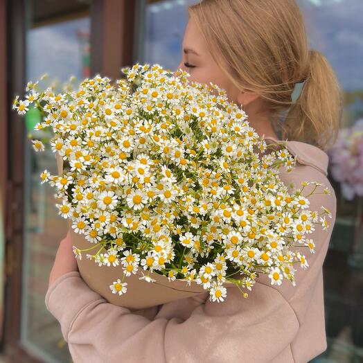 Bouquet 87 (daisies)