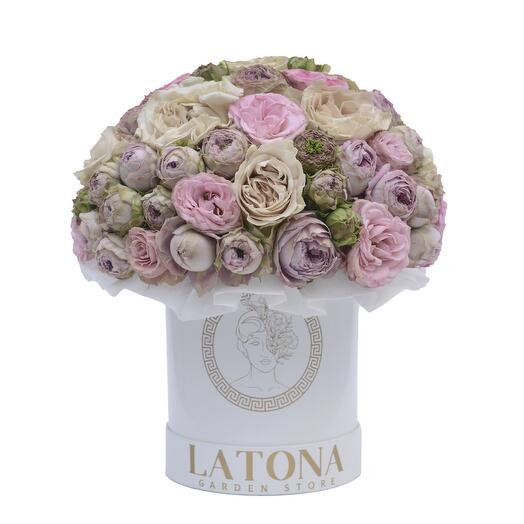 Frea-Rose a forma di peonia