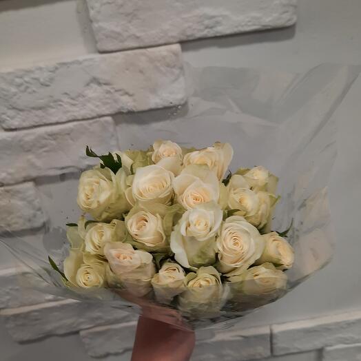 Rosa de Kenia 19PCS
