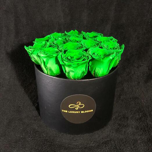 Green Infinity Rose in Black Box