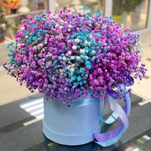 Гипсофила в коробке