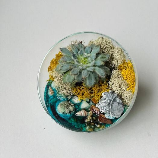 Florarium with turtles and succulent flower