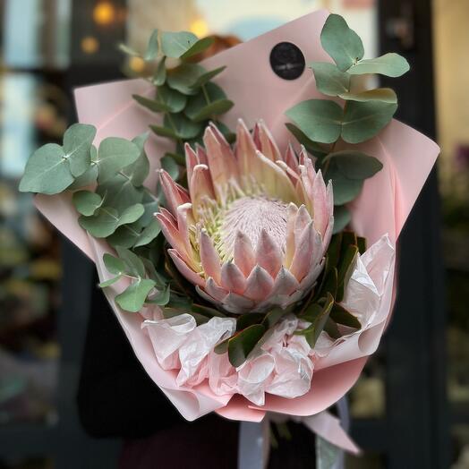 Bouquet with royal protea and eucalyptus