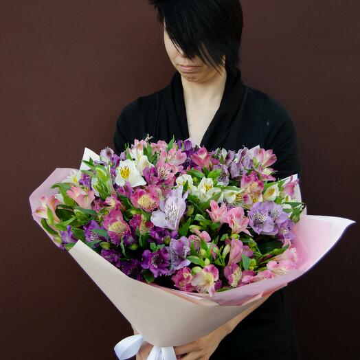 25 Альстромерий