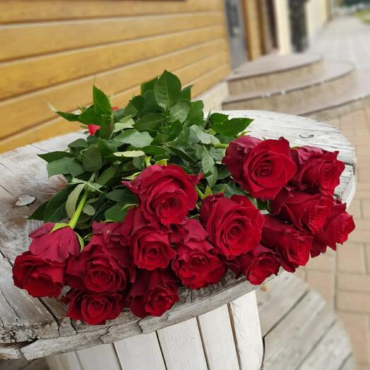Роза фридом
