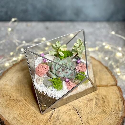 Spring octahedron - 084