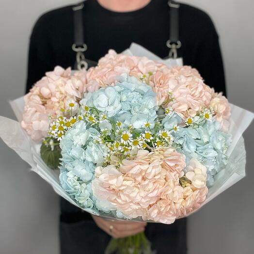 Ramo de margaritas y hortensias Mix