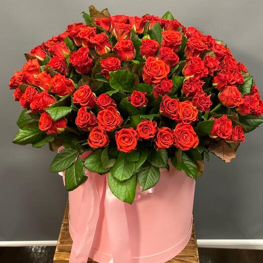 101 rosas 🌹 por Caja