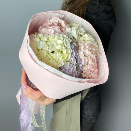Mono of hydrangeas rainbow cloud