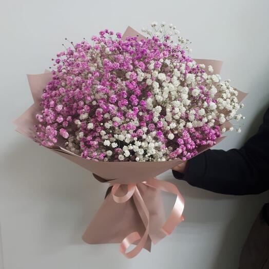 Bouquet of gypsophila
