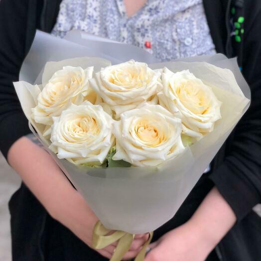 Rosa de peonía fragante