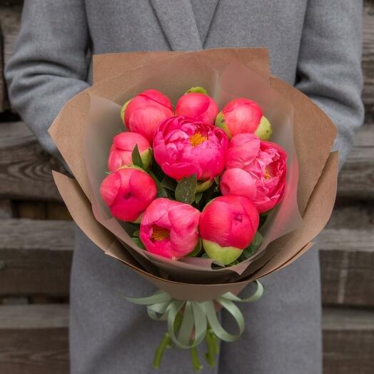9 пионов Корал Шарм (0006) peony