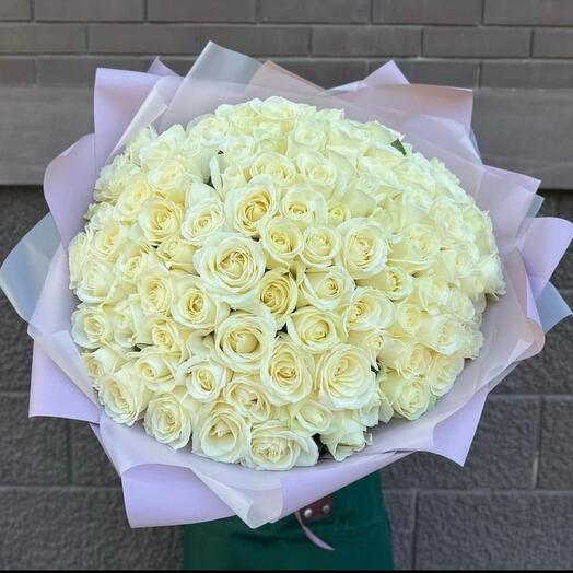 101 rosa 70 cm"