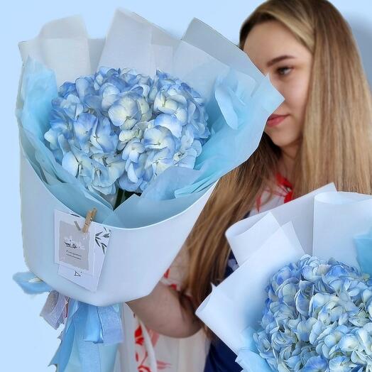 Hydrangea in a stylish package
