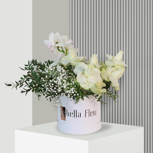 Agnes Bella Box - Medium