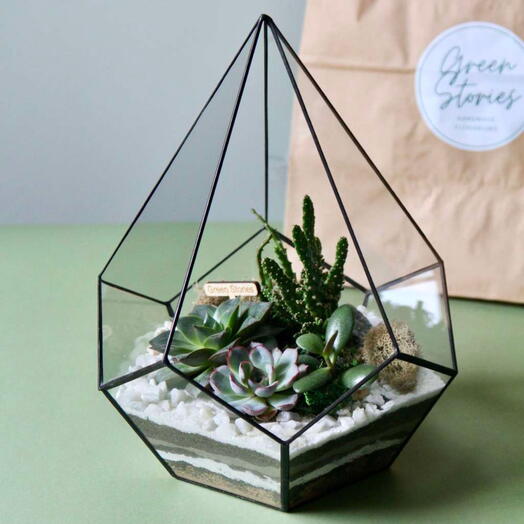Florarium Gota