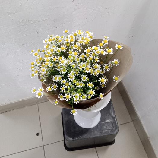 "Матрикария" 9 шт