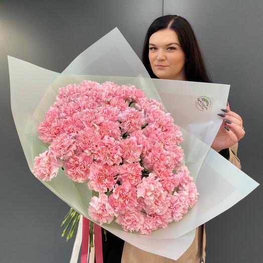 Mono 51 Dianthus (clavel)