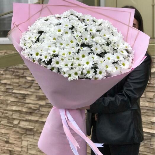 Букет из 25 белых хризантем