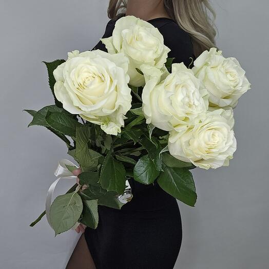 Ramo de 5 rosas blancas Ecuador 💖