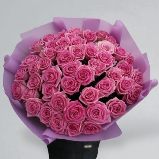 51 rosa Rosa