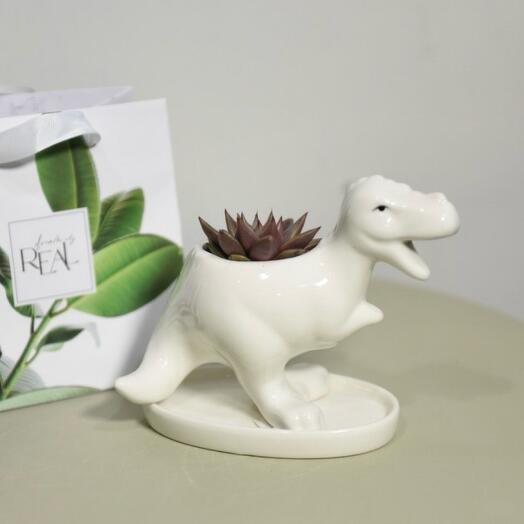 Dinosaur with succulent
