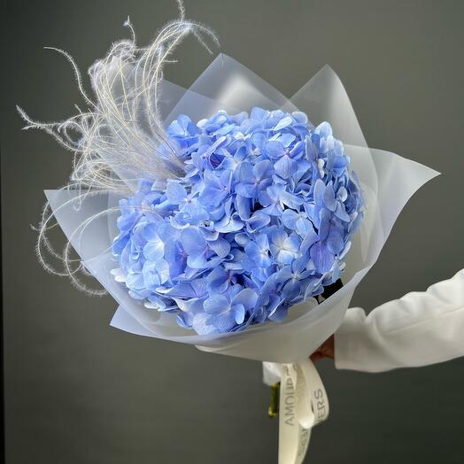 Гортензия blue 💙