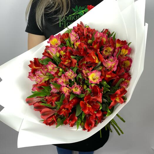 A magnificent bouquet of 19 red-pink alstroemeria