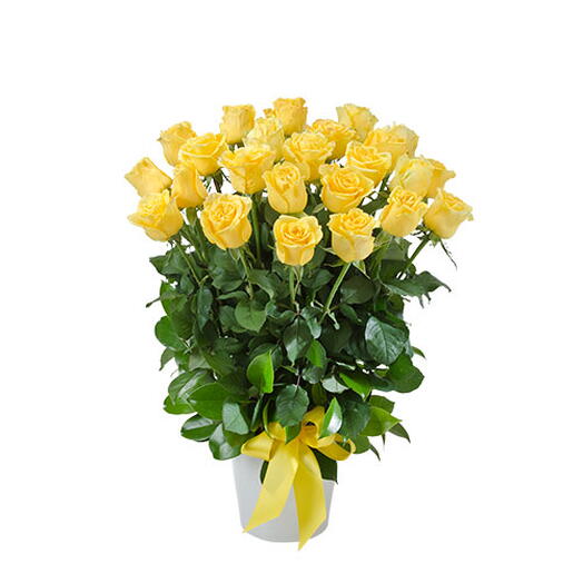 25 Yellow Rose In a ceramic vase