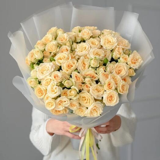 Салинеро куст 21 шт