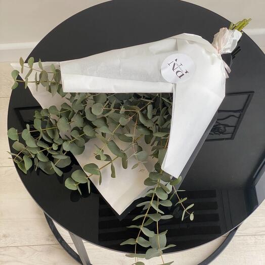 Охапка эвкалипта