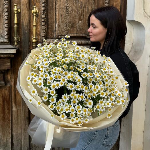 Букет ромашка Матрикария