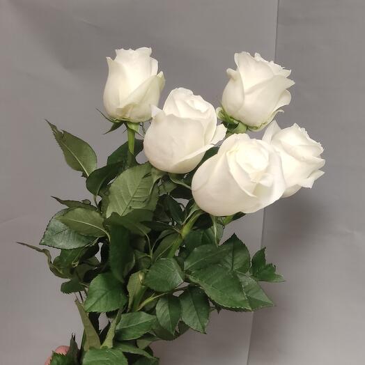 Букет💐 из белых роз