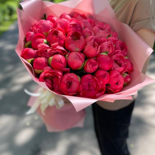 51 coral peonies